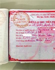 Biên lai thu lệ phí thẩm định DTM